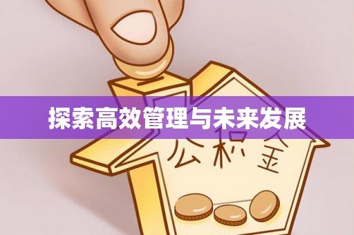 洞口探索高效管理与未来发展