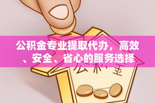 洞口公积金专业提取代办，高效、安全、省心的服务选择