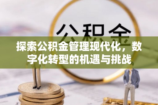 洞口探索公积金管理现代化，数字化转型的机遇与挑战