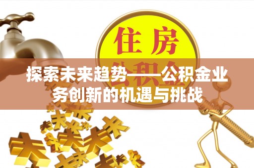 洞口探索未来趋势——公积金业务创新的机遇与挑战