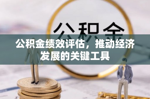 洞口公积金绩效评估，推动经济发展的关键工具