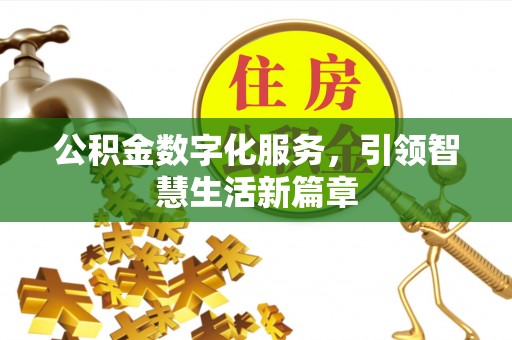 洞口公积金数字化服务，引领智慧生活新篇章
