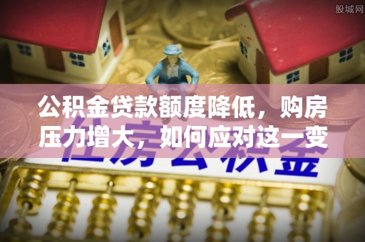 洞口公积金贷款额度降低，购房压力增大，如何应对这一变化？
