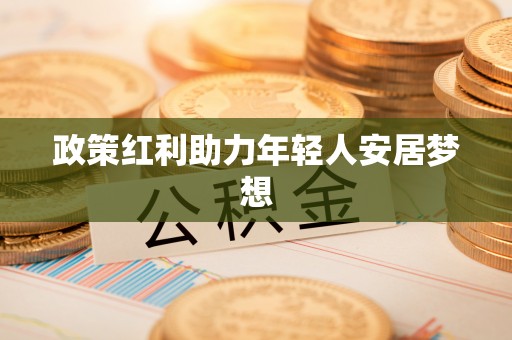洞口政策红利助力年轻人安居梦想