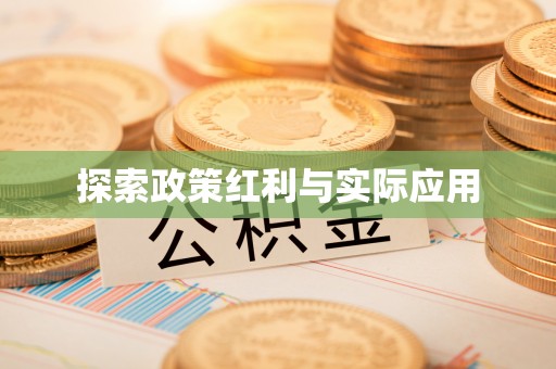 洞口探索政策红利与实际应用