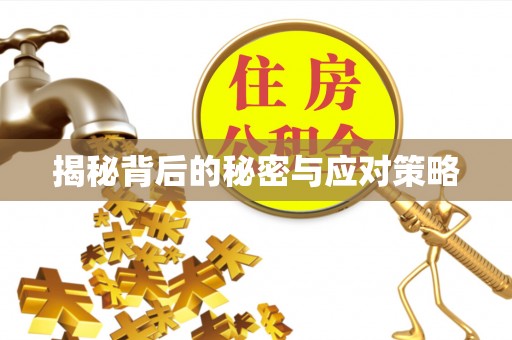 洞口揭秘背后的秘密与应对策略