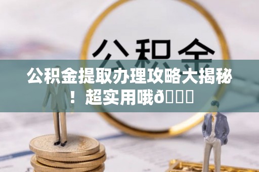 洞口公积金提取办理攻略大揭秘！超实用哦😉