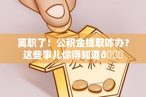 洞口离职了！公积金提取咋办？这些事儿你得知道😎