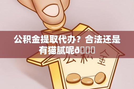 洞口公积金提取代办？合法还是有猫腻呢😏