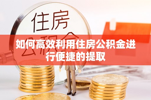 洞口如何高效利用住房公积金进行便捷的提取
