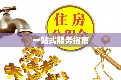 洞口一站式服务指南