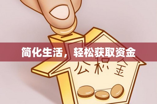 洞口简化生活，轻松获取资金